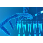 NaYF4;Yb,Er@SiO2-dsDNA-biotin            生物素修飾二氧化硅修飾單鏈DNA-稀土上轉(zhuǎn)換