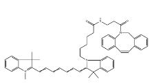CY7-二苯基環(huán)辛炔;二苯并環(huán)辛炔-CY7;CY7-二苯并環(huán)辛炔，DBCO-Cyanine7，CAS號(hào)：2253710-45-9