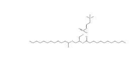 1,2-二十二?；?sn-glycero-3-膽堿磷酸(DLPC)，18194-25-7