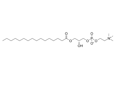 17364-16-8，P-LysoPC，棕櫚酰溶血卵磷脂