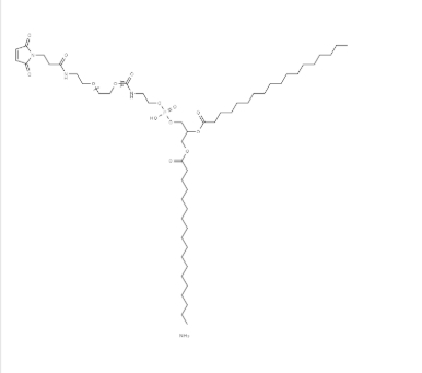 474922-22-0，DSPE -PEG2000- Maleimide，磷脂酰乙醇胺-聚乙二醇2000-馬來(lái)酰亞胺