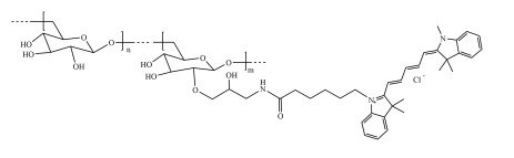 CY5-Dextran